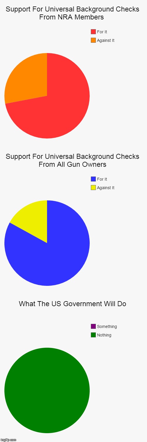 It's Sad Something Like This Doesn't Even Catch The Eye Of The Government... | image tagged in funny,pie charts,universal background checks,nra members,us government,sad truth | made w/ Imgflip meme maker