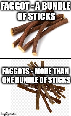 Stop Hating Pieces of Wood | FAGGOT - A BUNDLE OF STICKS; FAGGOTS - MORE THAN ONE BUNDLE OF STICKS | image tagged in sticks,faggot,bundle,definition,wood,hate | made w/ Imgflip meme maker