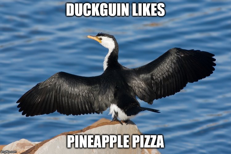 Duckguin | DUCKGUIN LIKES; PINEAPPLE PIZZA | image tagged in duckguin | made w/ Imgflip meme maker