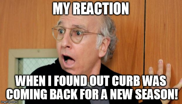 Larry David Shocked | MY REACTION; WHEN I FOUND OUT CURB WAS COMING BACK FOR A NEW SEASON! | image tagged in larry david shocked | made w/ Imgflip meme maker