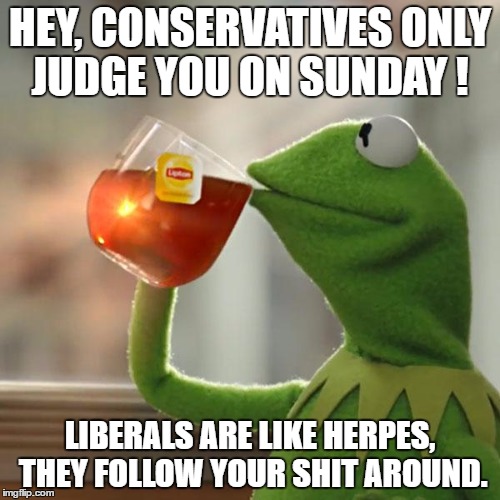 But That's None Of My Business | HEY, CONSERVATIVES ONLY JUDGE YOU ON SUNDAY ! LIBERALS ARE LIKE HERPES, THEY FOLLOW YOUR SHIT AROUND. | image tagged in memes,but thats none of my business,kermit the frog | made w/ Imgflip meme maker