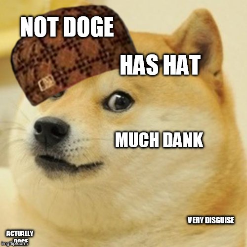 Doge Meme | NOT DOGE; HAS HAT; MUCH DANK; VERY DISGUISE; ACTUALLY DOGE | image tagged in memes,doge,scumbag | made w/ Imgflip meme maker
