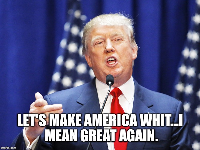 Trump | LET'S MAKE AMERICA WHIT...I MEAN GREAT AGAIN. | image tagged in trump | made w/ Imgflip meme maker