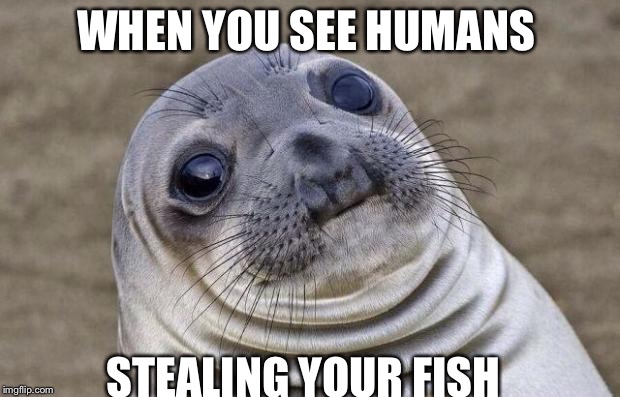 Awkward Moment Sealion | WHEN YOU SEE HUMANS; STEALING YOUR FISH | image tagged in memes,awkward moment sealion | made w/ Imgflip meme maker