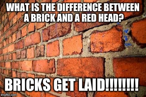WHAT IS THE DIFFERENCE BETWEEN A BRICK AND A RED HEAD? BRICKS GET LAID!!!!!!!! | image tagged in talons brick wall | made w/ Imgflip meme maker