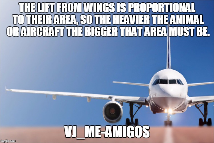 THE LIFT FROM WINGS IS PROPORTIONAL TO THEIR AREA, SO THE HEAVIER THE ANIMAL OR AIRCRAFT THE BIGGER THAT AREA MUST BE. VJ_ME-AMIGOS | made w/ Imgflip meme maker