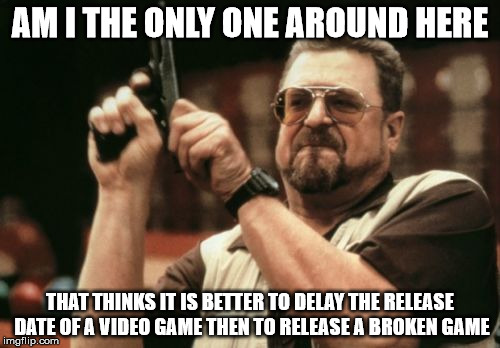 Am I The Only One Around Here | AM I THE ONLY ONE AROUND HERE; THAT THINKS IT IS BETTER TO DELAY THE RELEASE DATE OF A VIDEO GAME THEN TO RELEASE A BROKEN GAME | image tagged in memes,am i the only one around here | made w/ Imgflip meme maker