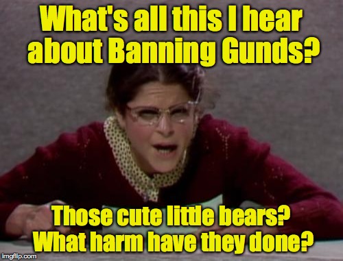 What's all this I hear about Banning Gunds? Those cute little bears? What harm have they done? | made w/ Imgflip meme maker