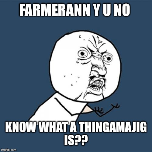 Y U No Meme | FARMERANN Y U NO KNOW WHAT A THINGAMAJIG IS?? | image tagged in memes,y u no | made w/ Imgflip meme maker
