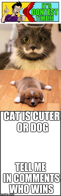 cat or dog | CAT IS CUTER OR DOG; TELL ME IN COMMENTS WHO WINS | image tagged in cats,dogs,puppies,kittens,mustache,contest | made w/ Imgflip meme maker