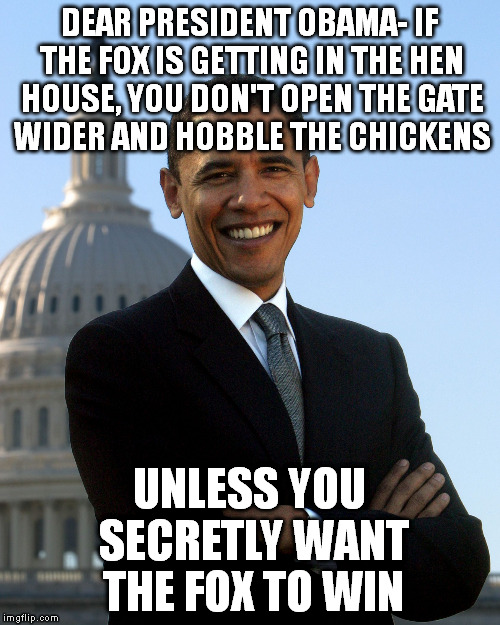 Barack Obama | DEAR PRESIDENT OBAMA- IF THE FOX IS GETTING IN THE HEN HOUSE, YOU DON'T OPEN THE GATE WIDER AND HOBBLE THE CHICKENS; UNLESS YOU SECRETLY WANT THE FOX TO WIN | image tagged in barack obama | made w/ Imgflip meme maker