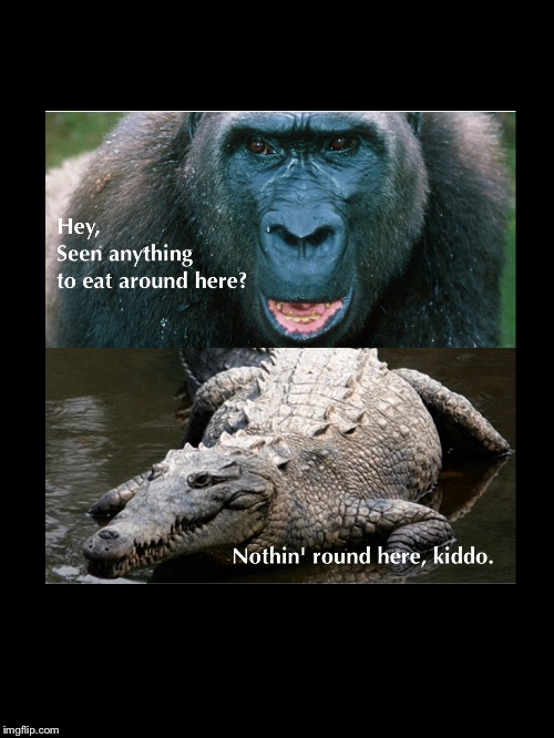 Apes and Crocodiles eat children. | image tagged in apes,dumb people,florida,crocodile,disney,cincinnati zoo | made w/ Imgflip meme maker