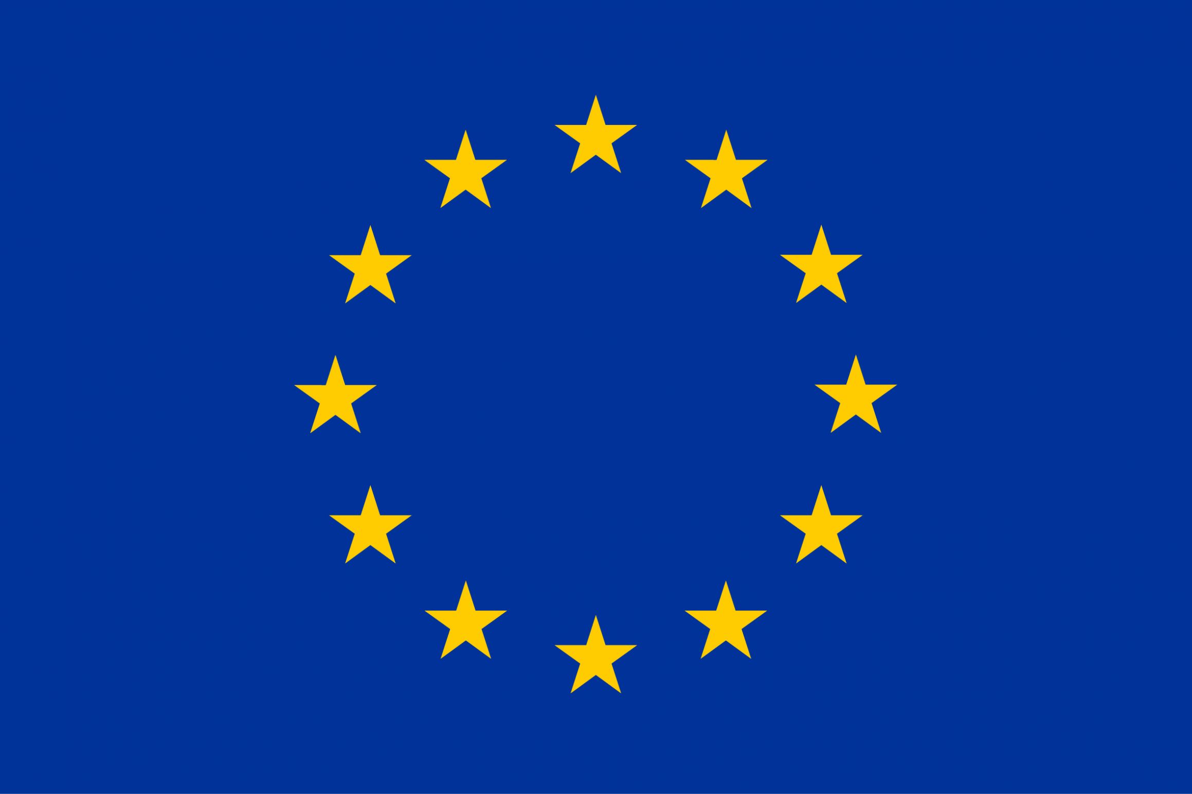 EU flag Blank Meme Template