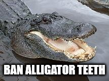 Alligator Wut | BAN ALLIGATOR TEETH | image tagged in alligator wut | made w/ Imgflip meme maker