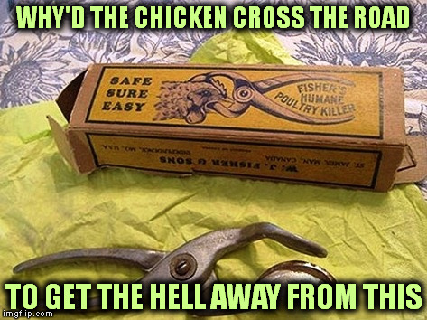 I'm sure PETA would love this | WHY'D THE CHICKEN CROSS THE ROAD; TO GET THE HELL AWAY FROM THIS | image tagged in memes | made w/ Imgflip meme maker