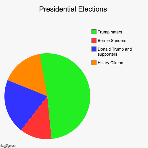 Our elections Today: | image tagged in funny,pie charts | made w/ Imgflip chart maker