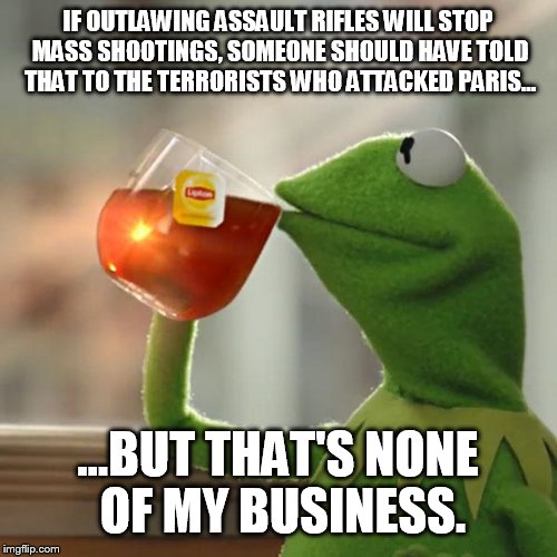 But That's None Of My Business | IF OUTLAWING ASSAULT RIFLES WILL STOP MASS SHOOTINGS, SOMEONE SHOULD HAVE TOLD THAT TO THE TERRORISTS WHO ATTACKED PARIS... ...BUT THAT'S NONE OF MY BUSINESS. | image tagged in memes,but thats none of my business,kermit the frog | made w/ Imgflip meme maker