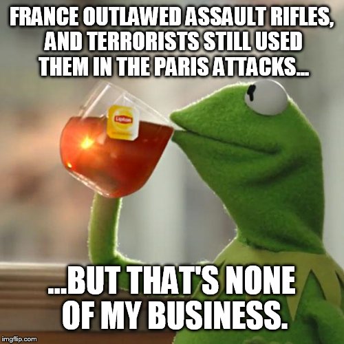 But That's None Of My Business Meme | FRANCE OUTLAWED ASSAULT RIFLES, AND TERRORISTS STILL USED THEM IN THE PARIS ATTACKS... ...BUT THAT'S NONE OF MY BUSINESS. | image tagged in memes,but thats none of my business,kermit the frog | made w/ Imgflip meme maker
