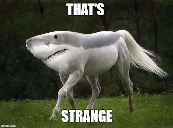 THAT'S STRANGE | image tagged in shorse | made w/ Imgflip meme maker