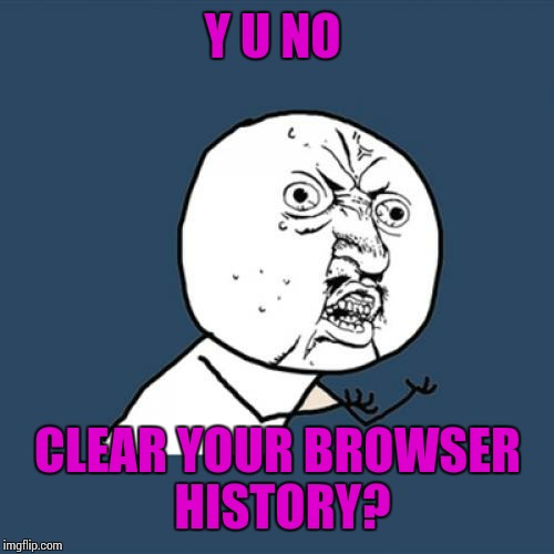 Y U No | Y U NO; CLEAR YOUR BROWSER HISTORY? | image tagged in memes,y u no | made w/ Imgflip meme maker