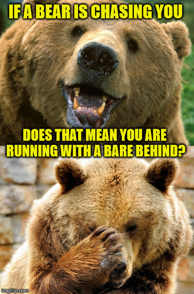 Bad Pun Bear | IF A BEAR IS CHASING YOU; DOES THAT MEAN YOU ARE RUNNING WITH A BARE BEHIND? | image tagged in bear | made w/ Imgflip meme maker