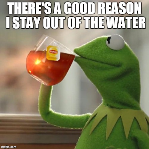 But That's None Of My Business | THERE'S A GOOD REASON I STAY OUT OF THE WATER | image tagged in memes,but thats none of my business,kermit the frog | made w/ Imgflip meme maker
