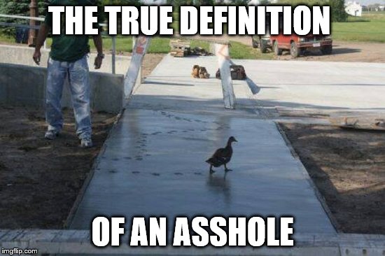 THE TRUE DEFINITION; OF AN ASSHOLE | image tagged in duck | made w/ Imgflip meme maker