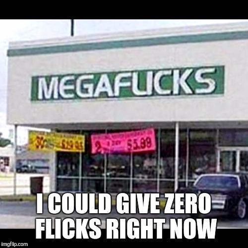 Offending the delicate sensibilities of imgflippers everywhere  | I COULD GIVE ZERO FLICKS RIGHT NOW | image tagged in memes | made w/ Imgflip meme maker