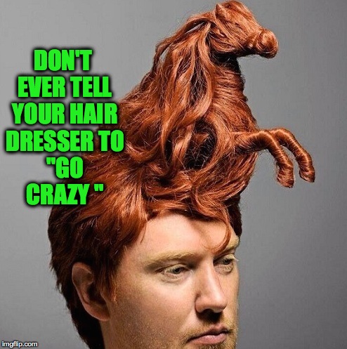 "I asked for a ride to prom, and this is what got" | DON'T EVER TELL YOUR HAIR DRESSER
TO "GO CRAZY " | image tagged in memes,funny,ridiculous,bad hair day,lol,hilarious | made w/ Imgflip meme maker