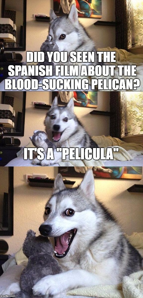 Bad Pun Dog Meme | DID YOU SEEN THE SPANISH FILM ABOUT THE BLOOD-SUCKING PELICAN? IT'S A "PELICULA" | image tagged in memes,bad pun dog | made w/ Imgflip meme maker