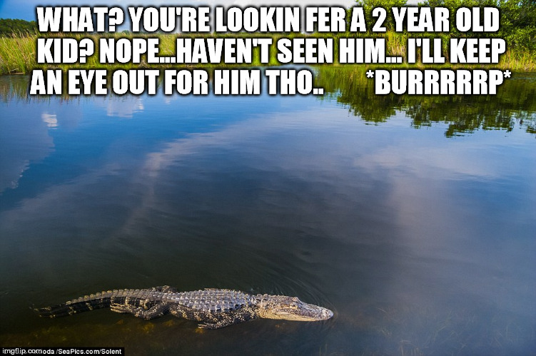 WHAT? YOU'RE LOOKIN FER A 2 YEAR OLD KID? NOPE...HAVEN'T SEEN HIM... I'LL KEEP AN EYE OUT FOR HIM THO..        *BURRRRRP* | image tagged in gator | made w/ Imgflip meme maker