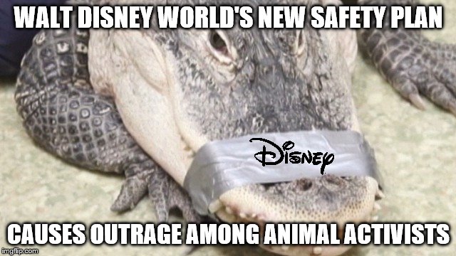Safety Bands! Only $39.99 Each in the Gift Shop! | WALT DISNEY WORLD'S NEW SAFETY PLAN; CAUSES OUTRAGE AMONG ANIMAL ACTIVISTS | image tagged in duct tape alligator,memes,funny,animals,disney | made w/ Imgflip meme maker