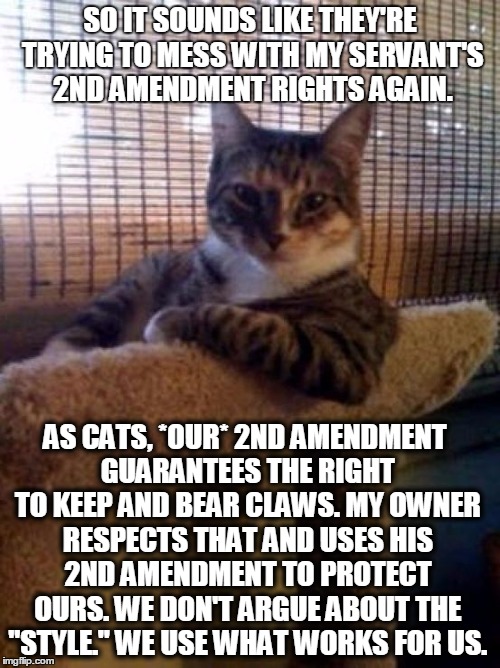 The Most Interesting Cat In The World | SO IT SOUNDS LIKE THEY'RE TRYING TO MESS WITH MY SERVANT'S 2ND AMENDMENT RIGHTS AGAIN. AS CATS, *OUR* 2ND AMENDMENT GUARANTEES THE RIGHT TO KEEP AND BEAR CLAWS. MY OWNER RESPECTS THAT AND USES HIS 2ND AMENDMENT TO PROTECT OURS. WE DON'T ARGUE ABOUT THE "STYLE." WE USE WHAT WORKS FOR US. | image tagged in memes,the most interesting cat in the world | made w/ Imgflip meme maker