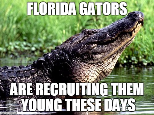 Alligator | FLORIDA GATORS; ARE RECRUITING THEM YOUNG THESE DAYS | image tagged in alligator | made w/ Imgflip meme maker