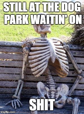 waitin' on shit | STILL AT THE DOG PARK WAITIN' ON; SHIT | image tagged in memes,waiting skeleton | made w/ Imgflip meme maker