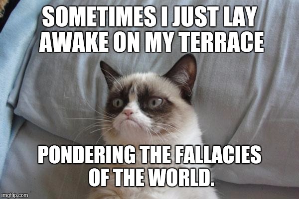 Grumpy Cat Bed | SOMETIMES I JUST LAY AWAKE ON MY TERRACE; PONDERING THE FALLACIES OF THE WORLD. | image tagged in memes,grumpy cat bed,grumpy cat | made w/ Imgflip meme maker