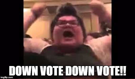 DOWN VOTE DOWN VOTE!! | made w/ Imgflip meme maker