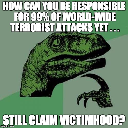 Philosoraptor | HOW CAN YOU BE RESPONSIBLE FOR 99% OF WORLD-WIDE TERRORIST ATTACKS YET . . . STILL CLAIM VICTIMHOOD? | image tagged in memes,philosoraptor | made w/ Imgflip meme maker