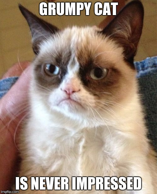 Grumpy Cat | GRUMPY CAT; IS NEVER IMPRESSED | image tagged in memes,grumpy cat | made w/ Imgflip meme maker