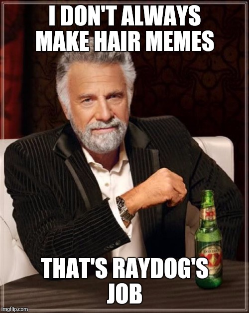 I DON'T ALWAYS MAKE HAIR MEMES THAT'S RAYDOG'S JOB | image tagged in memes,the most interesting man in the world | made w/ Imgflip meme maker