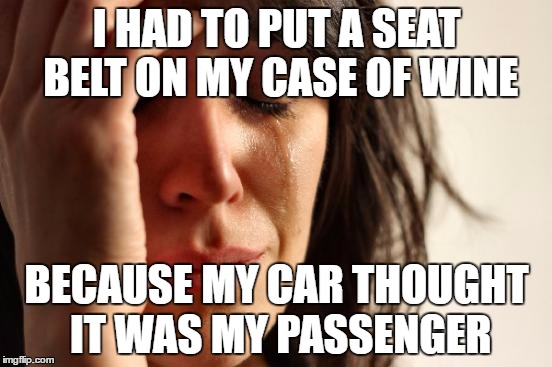 First World Problems Meme | I HAD TO PUT A SEAT BELT ON MY CASE OF WINE; BECAUSE MY CAR THOUGHT IT WAS MY PASSENGER | image tagged in memes,first world problems,AdviceAnimals | made w/ Imgflip meme maker