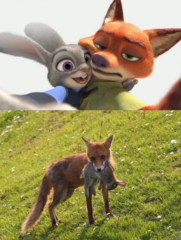 High Quality zootopia - fantasy vs irl Blank Meme Template