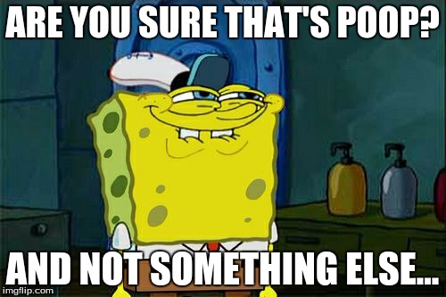 Don't You Squidward Meme | ARE YOU SURE THAT'S POOP? AND NOT SOMETHING ELSE... | image tagged in memes,dont you squidward | made w/ Imgflip meme maker