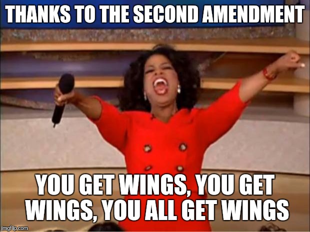 Oprah You Get A Meme | THANKS TO THE SECOND AMENDMENT; YOU GET WINGS, YOU GET WINGS, YOU ALL GET WINGS | image tagged in memes,oprah you get a | made w/ Imgflip meme maker