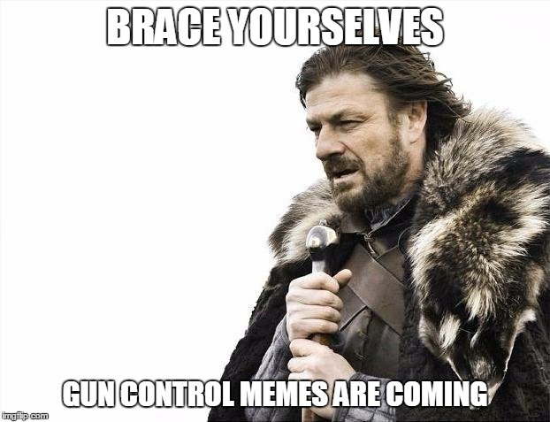 Don't know if this is a repost or not | BRACE YOURSELVES; GUN CONTROL MEMES ARE COMING | image tagged in memes,brace yourselves x is coming | made w/ Imgflip meme maker