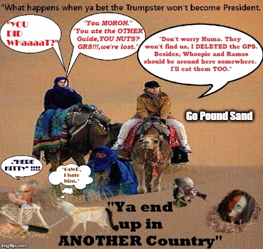 " This are the Sands of Time " | Go Pound Sand | image tagged in hillary clinton,clinton,politics,politics lol | made w/ Imgflip meme maker