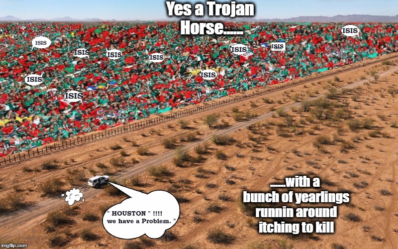 The Flood of ILLegals, mixed with some "bad dudes" | Yes a Trojan Horse...... ......with a bunch of yearlings runnin around itching to kill | image tagged in secure the border,border,fence aka border wall,border patrol | made w/ Imgflip meme maker