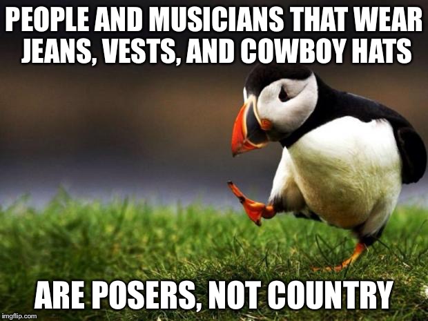 Country music isn't a fashion | PEOPLE AND MUSICIANS THAT WEAR JEANS, VESTS, AND COWBOY HATS; ARE POSERS, NOT COUNTRY | image tagged in memes,unpopular opinion puffin,country music | made w/ Imgflip meme maker