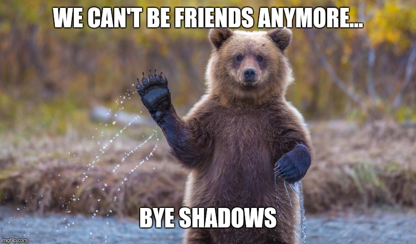 HI garry | WE CAN'T BE FRIENDS ANYMORE... BYE SHADOWS | image tagged in hi garry | made w/ Imgflip meme maker