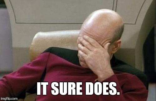 Captain Picard Facepalm Meme | IT SURE DOES. | image tagged in memes,captain picard facepalm | made w/ Imgflip meme maker